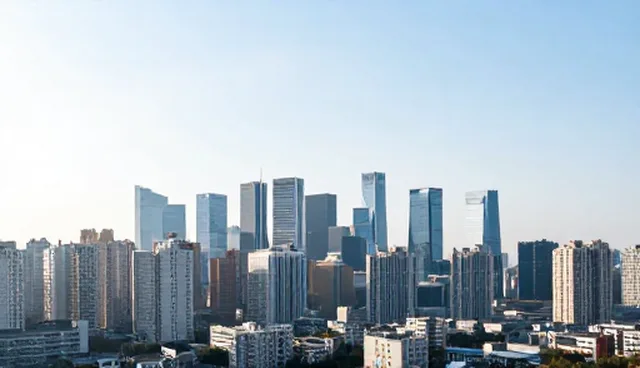 系统实施中常见问题及处理建议