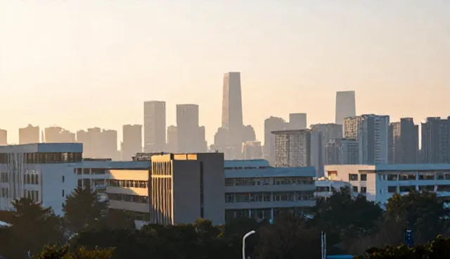 企业信息化管理系统实施中,性能与适用条件有哪些限制条件?